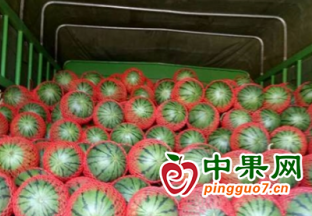 時令水果陸續上市 價格小幅回落 ()