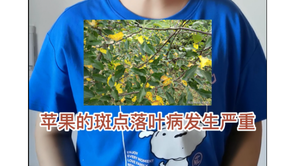 天氣轉涼，落葉病發生是什么原因？ ()